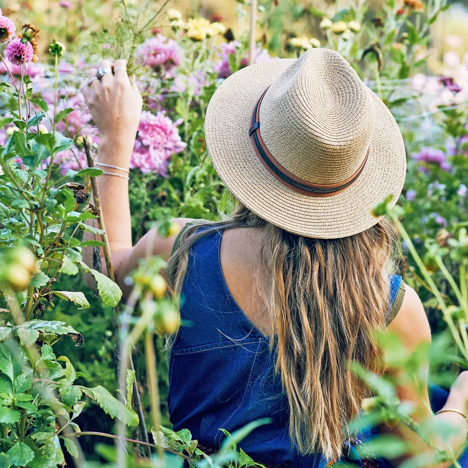 Hardy Fedora - Image 5