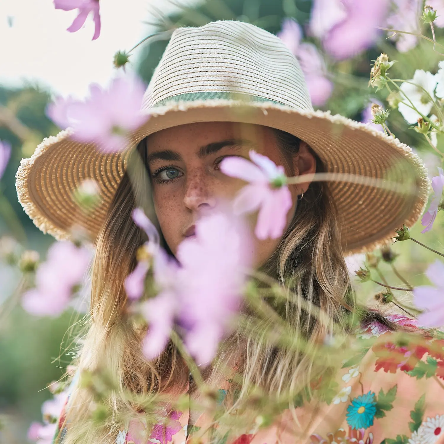 Olea Fedora - Image 5