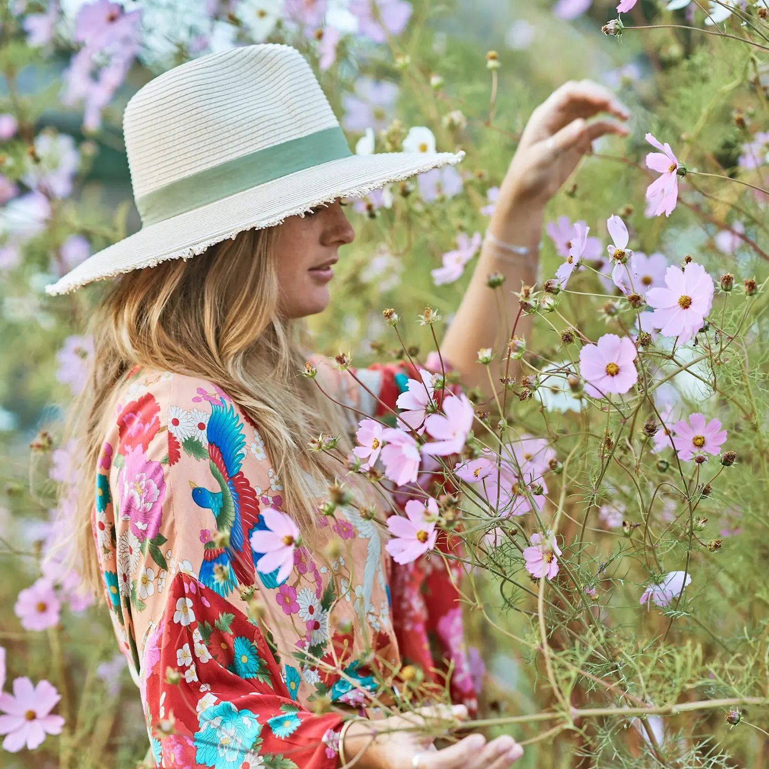 Olea Fedora - Image 6